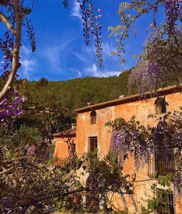 Villa Catalina Aka Villa Almanita Sant Pere De Ribes Eksteriør bilde